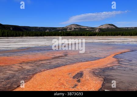 In der Grand Prismatic Spring von Yellowstone zeichnen sich durch lebhafte geothermische Kräfte leuchtende blaue, rote, orangene und gelbe Schichten über dampfenden Mineralienbecken aus. Stockfoto