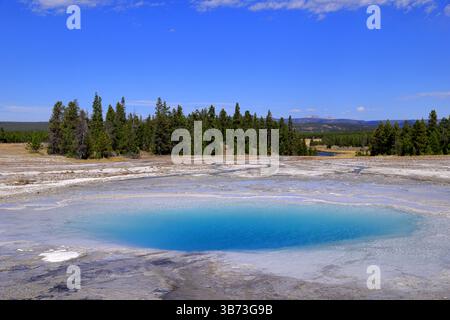 In der Grand Prismatic Spring von Yellowstone verschmelzen lebendige thermische Farben in einem faszinierenden Tanz aus dampfenden Mineralien und strahlender geothermischer Pracht. Pur! Stockfoto