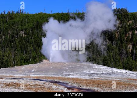 Im Old Faithful im Yellowstone National Park, Wyoming, USA, bricht ein stetiger Ausbruch von dampfendem Wasser aus seinem zerklüfteten Kegel in den Himmel und verzaubert jedes Auge!! Stockfoto