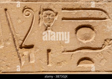 Altägyptische Hieroglyphen, die an der Wand des Karnak-Tempels gehauen wurden. Luxor, Ägypten Stockfoto