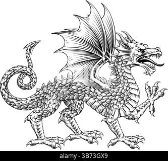 Heraldisches Drachenwappen Heraldik-Tier Stock Vektor