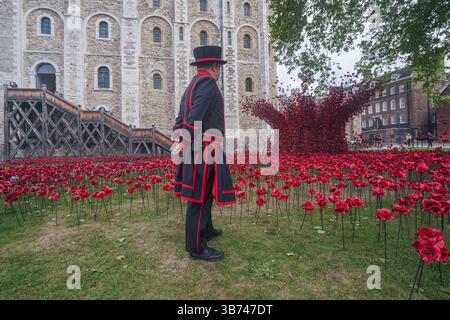 London UK 5. Mai 2025. Ein yeoman Warder posiert mit der Installation Ceramic Mohnblumen im Tower of London anlässlich des 80. Jahrestags des Endes des Zweiten Weltkriegs. Die Mohnblumen als Leihgabe aus der Sammlung der Kaiserlichen Kriegsmuseen aus dem Jahr 30.000 werden bis zum 11. November ausgestellt. Credit Amer Ghazzal/Alamy Live News Stockfoto