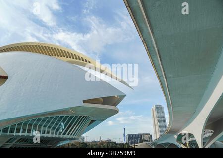 Vor dem Gebäude Ciutat de les Arts i les ciences mit der modernen Architektur des Palastes der Künste von Santiago Calatrava in Valencia, Spanien. Architektur Stockfoto