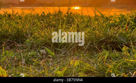 Ruhiger Sonnenuntergang über üppig grünem Gras mit goldenen Lichtreflexen auf dem Wasser, die eine ruhige und warme Atmosphäre schaffen, die den Geist beruhigt. Stockfoto