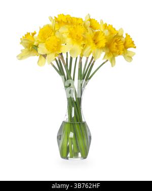 Gelbe Narzissen in Vase isoliert auf weiß Stockfoto