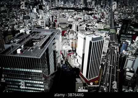 Der Blick vom Shibuya Sky Observatorium. Drehort: Metropolregion Tokio Stockfoto