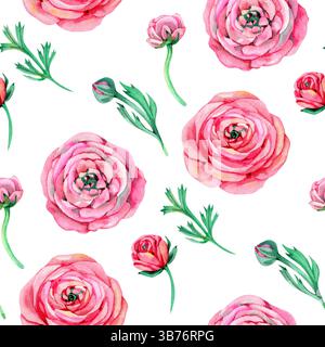 Rosafarbenes Ranunkel und grünes Aquarellmuster. Blumenmuster im Sommer Stockfoto