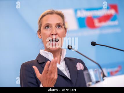 Berlin, Deutschland. Mai 2025. Alice Weidel, Fraktionsvorsitzende der AfD, spricht bei der Pressemitteilung im Bundestag. Quelle: Michael Kappeler/dpa/Alamy Live News Stockfoto