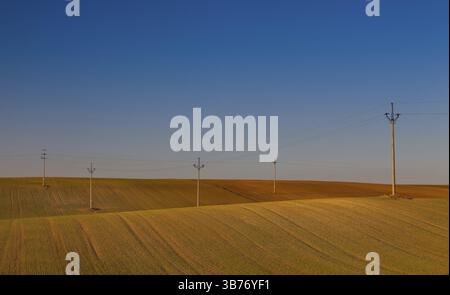 Holz spalten von Stromleitungen auf der leeren Herbst Feld Stockfoto