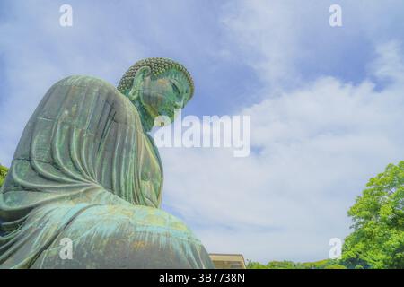 Frühsommer des Großen Buddha von Kamakura, der in frisches Grün gehüllt war. Aufnahmeort: Kamakura, Präfektur Kanagawa Stockfoto