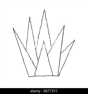 Abstrakte Aloe Vera Pflanze Vektor Linie Tinte Illustration in schwarz-weiß. Agave Pflanze Skizze für Bio Hautpflege Verpackung, Wellness Blogs, Medizin Stock Vektor