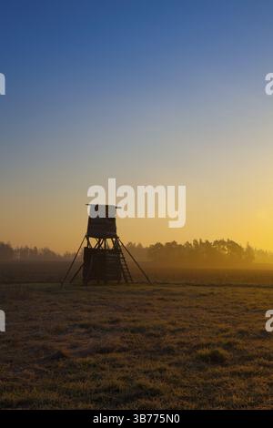 Hunter-Aussichtsturm am Rande des Waldes im Morgennebel Stockfoto