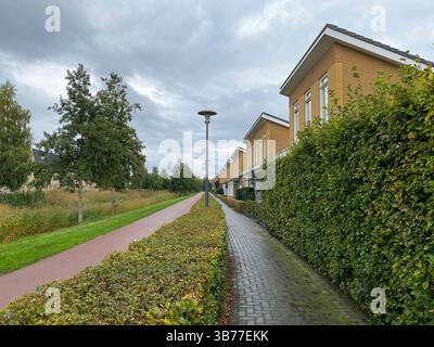 Eine ruhige Wohnstraße gesäumt von Häusern, Bäumen und einem Bürgersteig, mit einem Radweg, der unter einem bewölkten Himmel zum Horizont führt Stockfoto
