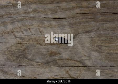 Symbole AI aus schwarzen Kunststoffperlen auf gerissenem Holzhintergrund. Konzept der Buchstaben AI mit Kopierraum. Stockfoto