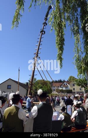Bayern, Maypole, Musik, Tradition, Bräuche, Blaskapelle, traditionelle Tracht, Hut, Bier Stockfoto