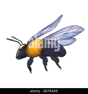 Wasserfarbenhummel im Flug. Aquarell handgezeichnete Illustration Biene isoliert auf transparentem Hintergrund. Sommerinsekt für Designs Postkarte, Poster Stockfoto