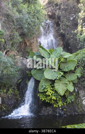 Kleiner Flusswasserfall zwischen einigen braunen Felsen Stockfoto