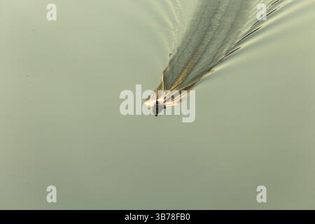 Ein kleines Boot segelt auf dem Fluss Douro an einem wunderschönen nebligen Morgen während des Sonnenaufgangs mit stillen Gewässern, Vila Nova de Foz CoA, Portugal. Stockfoto