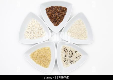 Draufsicht Auf Weiße Sushi-Platte Mit Unterschiedlichem Rise .Symmetry Food Design Stockfoto