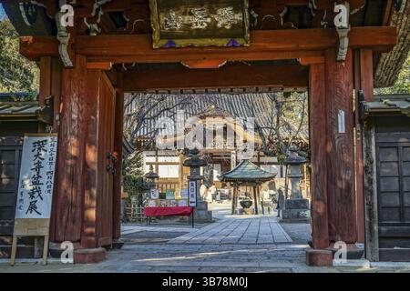 Chofu Jindaiji von Sakura und Stadt. Drehort: Chofu, Tokio Stockfoto