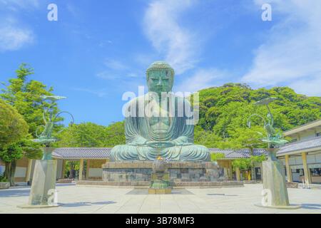 Frühsommer des Großen Buddha von Kamakura, der in frisches Grün gehüllt war. Aufnahmeort: Kamakura, Präfektur Kanagawa Stockfoto