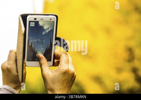 Schrein äußeren Garten Ginkgo Reihe von Bäumen des Smartphones über. Drehort: Metropolregion Tokio Stockfoto