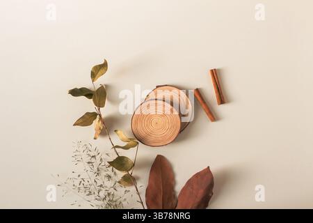 Rahmen mit trockenen Herbstblättern, Eukalyptus, Zimt und Holzstücken auf weißem Hintergrund. Herbst, Herbstmotiv. Flache Lage, Draufsicht. Stockfoto