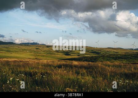 Eine große Anzahl von Windturbinen steht bei Sonnenuntergang im Feld, eine Skyline mit blauem Himmel und Samtwolken. Stockfoto