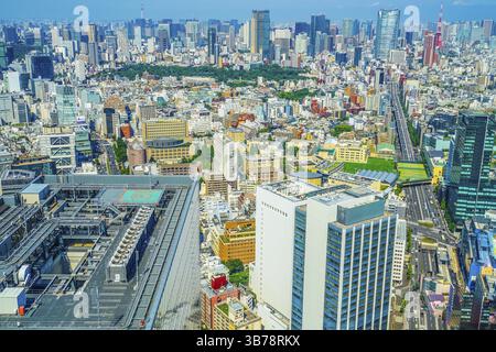 Der Blick vom Shibuya Sky Observatorium. Drehort: Metropolregion Tokio Stockfoto