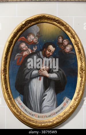 Johannes von Nepomuk (Johannes Nepomucene). Die Kathedrale der Heiligen Elisabeth (Dóm svätej Alžbety) in Košice, Slowakei. Stockfoto