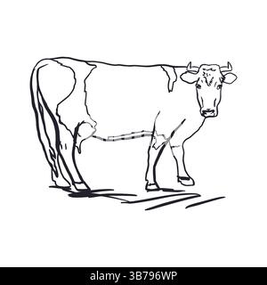 Kuh im Grafikstil. Skizze mit schwarzer Tinte. Hand gezeichnete Vektorillustration von Haustier, Vieh. Für Grußkarten, Etiketten für Milchprodukte, Banner Stock Vektor