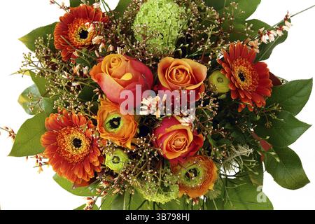 Blumen Rosen Blumenstrauß bunte Farben Geschenk Liebe Natur grün rot Fleurop Blüten Pflanzen Cut-outs Stockfoto