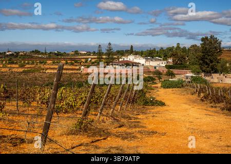 ESTOMBAR, PORTUGAL - 5. OKTOBER 2024: Landschaftsansicht des Weinguts 'Quinta dos Vales' in der Algarve. Stockfoto