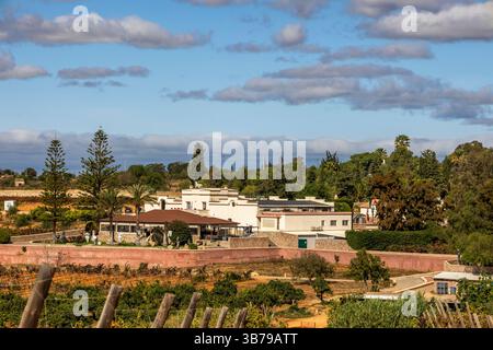 ESTOMBAR, PORTUGAL - 5. OKTOBER 2024: Landschaftsansicht des Weinguts 'Quinta dos Vales' in der Algarve. Stockfoto