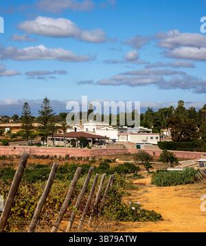 ESTOMBAR, PORTUGAL - 5. OKTOBER 2024: Landschaftsansicht des Weinguts 'Quinta dos Vales' in der Algarve. Stockfoto