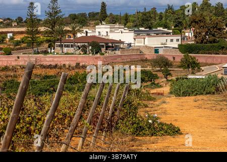 ESTOMBAR, PORTUGAL - 5. OKTOBER 2024: Landschaftsansicht des Weinguts 'Quinta dos Vales' in der Algarve. Stockfoto