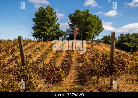 ESTOMBAR, PORTUGAL - 5. OKTOBER 2024: Landschaftsansicht des Weinguts 'Quinta dos Vales' in der Algarve. Stockfoto