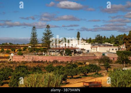 ESTOMBAR, PORTUGAL - 5. OKTOBER 2024: Landschaftsansicht des Weinguts 'Quinta dos Vales' in der Algarve. Stockfoto