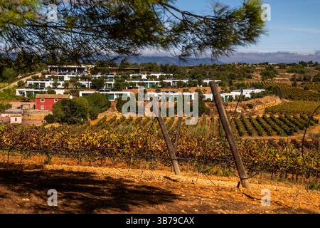 ESTOMBAR, PORTUGAL - 5. OKTOBER 2024: Landschaftsansicht des Weinguts 'Quinta dos Vales' in der Algarve. Stockfoto