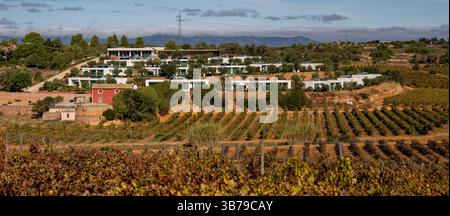 ESTOMBAR, PORTUGAL - 5. OKTOBER 2024: Landschaftsansicht des Weinguts 'Quinta dos Vales' in der Algarve. Stockfoto