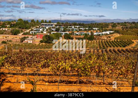 ESTOMBAR, PORTUGAL - 5. OKTOBER 2024: Landschaftsansicht des Weinguts 'Quinta dos Vales' in der Algarve. Stockfoto