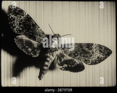 Szene aus dem Film UN Chien Andalou (ein andalusischer Hund) von Luis Buñuel. Museum: PRIVATE SAMMLUNG. Autor: ANONYM. Stockfoto
