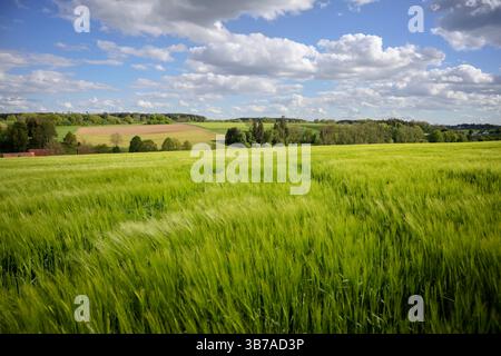 Blick über saftig grüne landwirtschaftliche Felder bis zur Landschaft bei Staig, Alb-Donau-Kreis, Baden-Württemberg, Deutschland, Europa Stockfoto