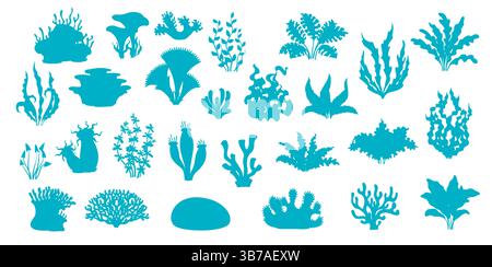 Algen, Meereskorallenriffe, Seetang und Schwamm Silhouetten von Vektormeeren Unterwasserpflanzen. Unter Wasser Flora Set von Seeunkräutern und Gras, Algen und Korallen Stock Vektor