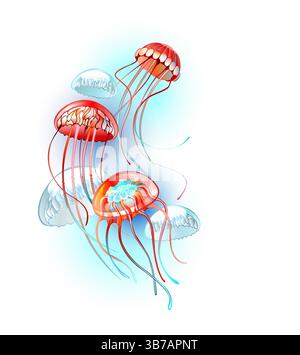 Drei künstlerisch gezeichnete Quallen mit hellroter Färbung und langen roten Tentakeln auf weißem Hintergrund. Stock Vektor
