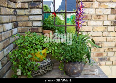Schöner Platz im Garten im mediterranen Stil, Töpfe mit Pflanzen auf dem Tisch Stockfoto