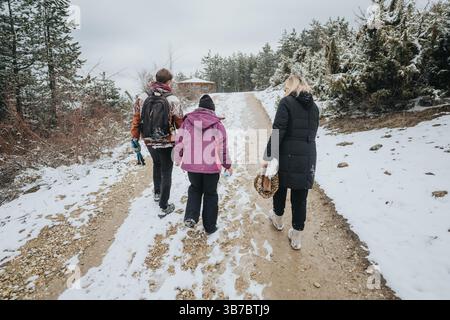 Drei Freunde wandern an einem Wintertag in einer verschneiten Waldlandschaft, wandern auf einem schneebedeckten Feldweg, genießen Outdoor-Abenteuer und Natur. Stockfoto
