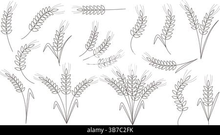 Dünne Linien von Getreideohren. Sammlung von Weizen, Roggen, Gerste, Haferohren. Einfache Umrissdarstellung für Logo, Symbol, Bezeichnung, Zeichen, Vektor Stock Vektor