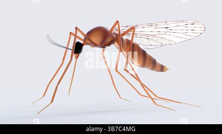 Eine 3D-Darstellung einer wissenschaftlich akkuraten, aber künstlerisch gerenderten Darstellung einer Mücke, möglicherweise einer Anopheles. Stockfoto