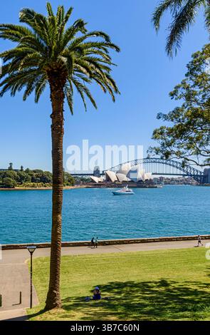 Blick auf das Sydney Opera House und die Sydney Harbour Bridge vom Royal Botanic Garden Sydney, New South Wales, Australien Stockfoto
